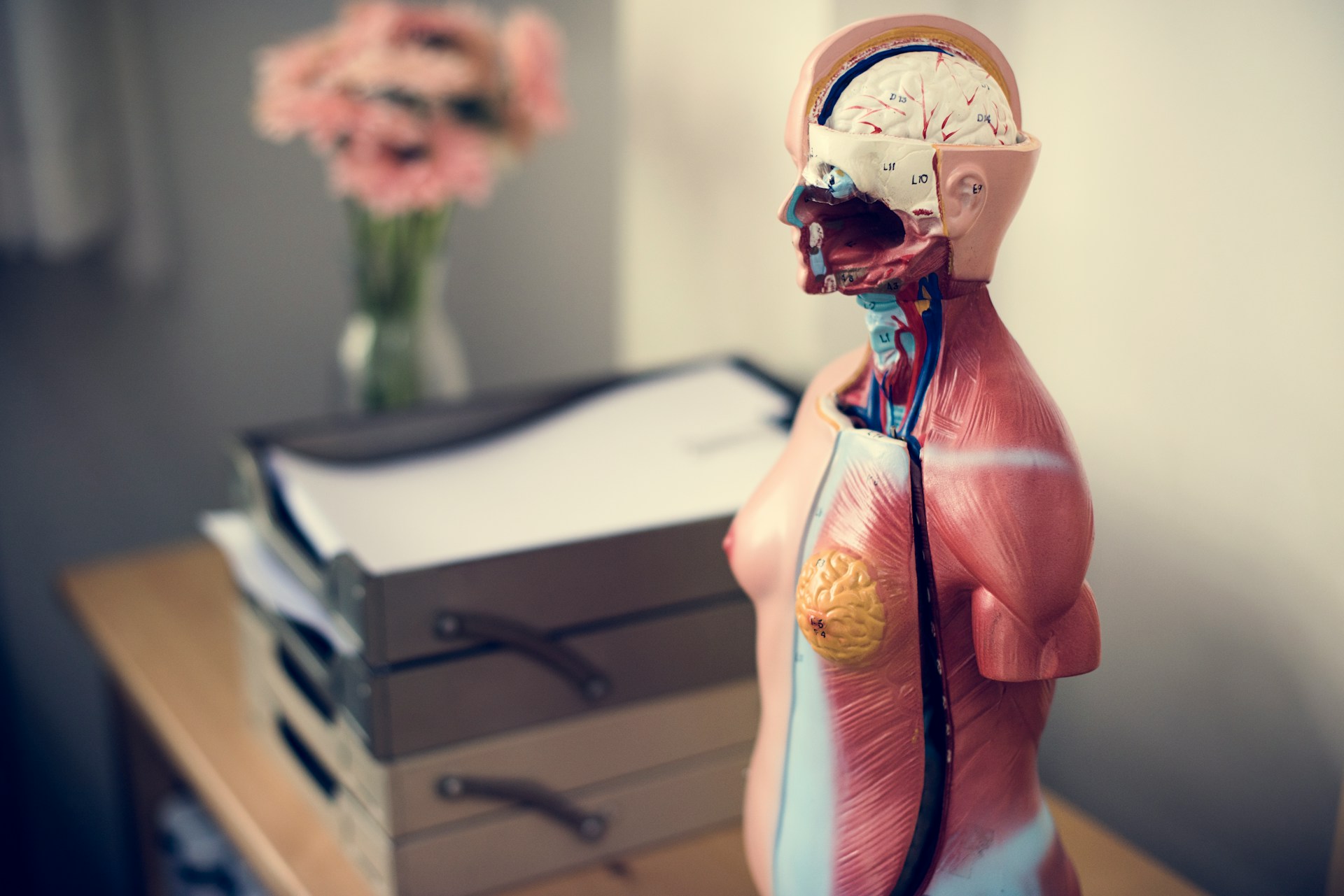 curated-lifestyle-K9gdy-hw6hM-unsplash